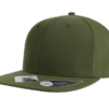 Atlantis James 6 Panel Recycled Cap in Olive